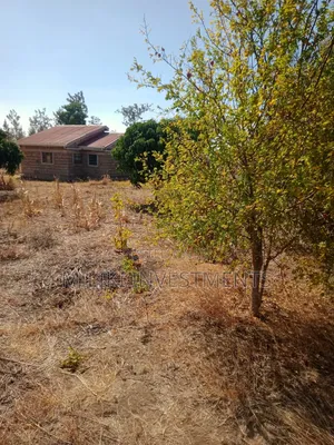 An Acre With House on Sale at Malaa.