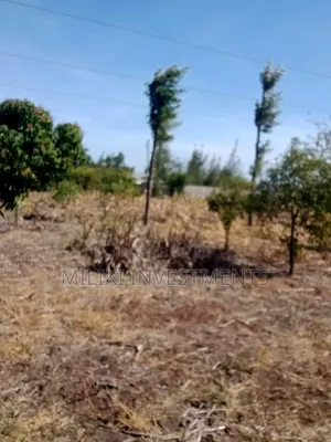 An Acre With House on Sale at Malaa.