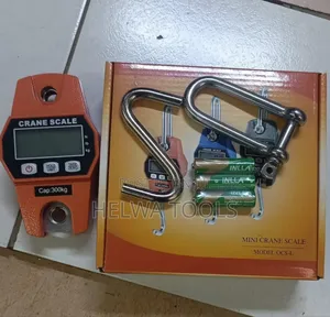 300 KGS Crane Scale/Crane Scale 300