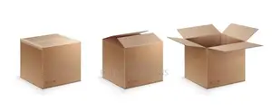 Carton Carton