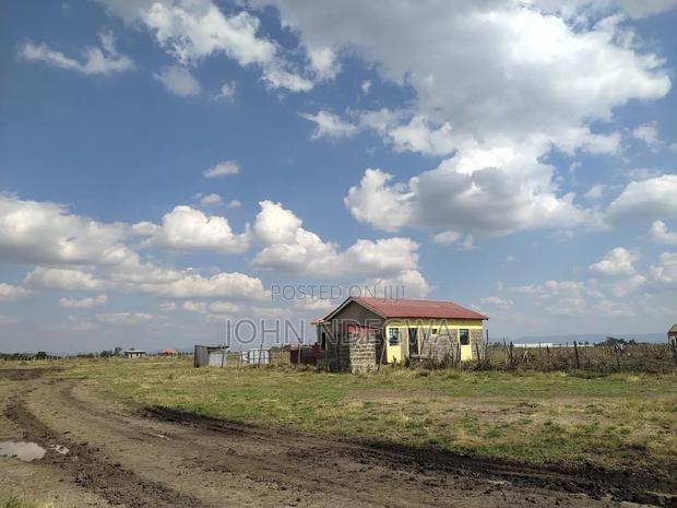 Mwalimu Farm Prime Plots - thumbnail 2