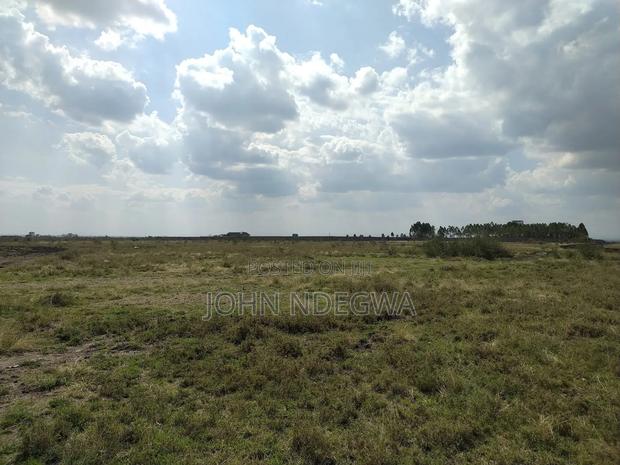 Mwalimu Farm Prime Plots - thumbnail 3