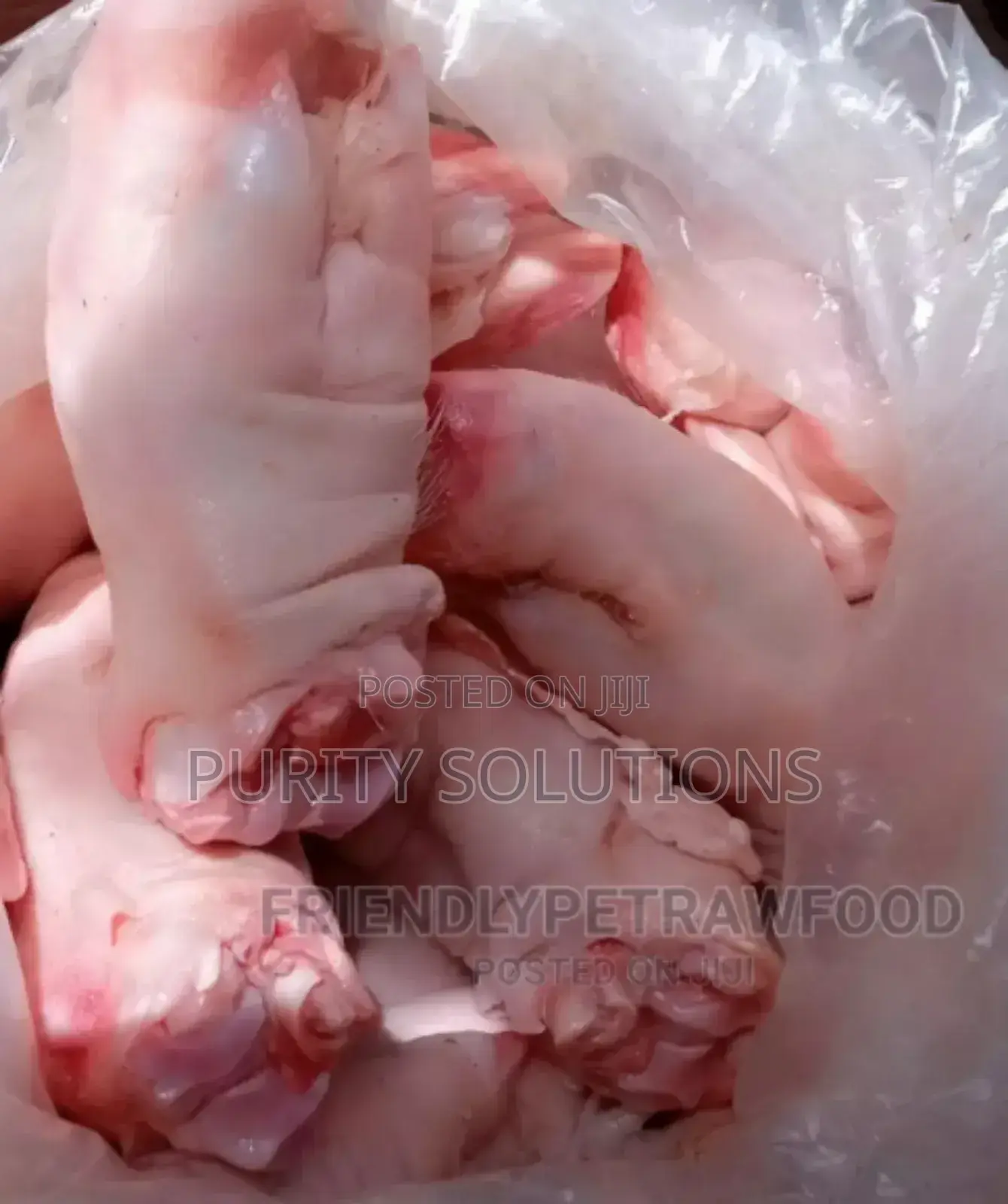 Pig Trotters Pig Feet