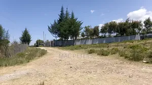 Prime Land in Muthaiga Nanyuki