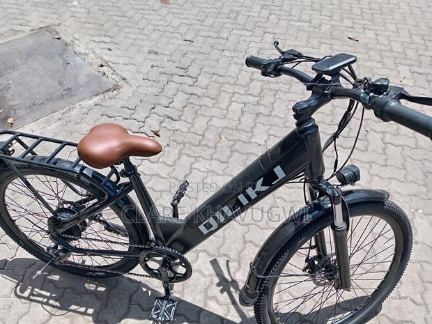 Eco Bike Electric - main view