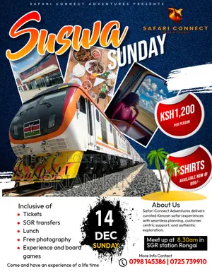 Professional Graphic Designer – Posters, Banners Branding