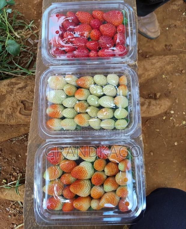 Fresh Strawberry Fruits - main view