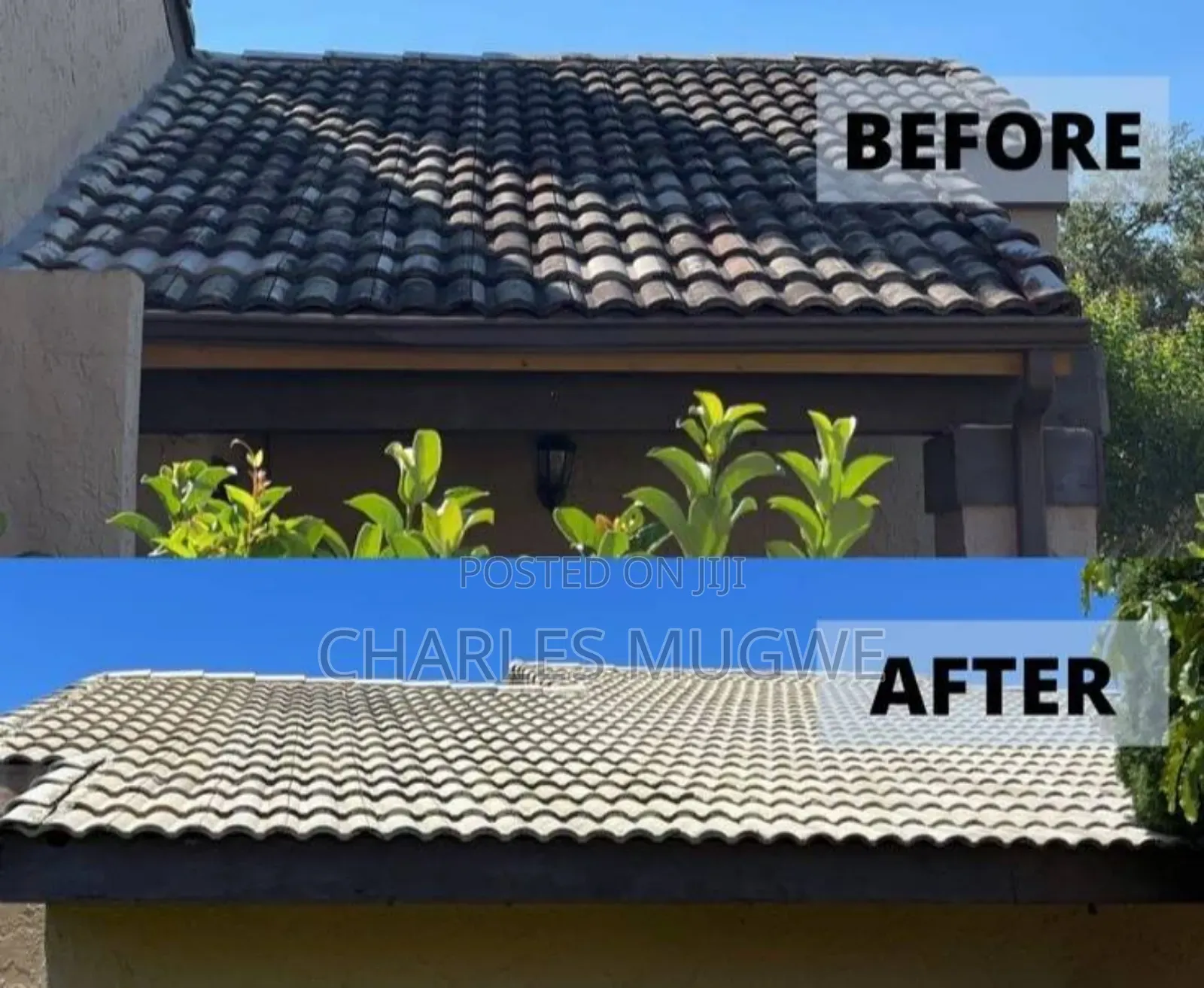 Outdoor Surface Cleaning