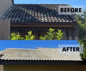 Outdoor Surface Cleaning