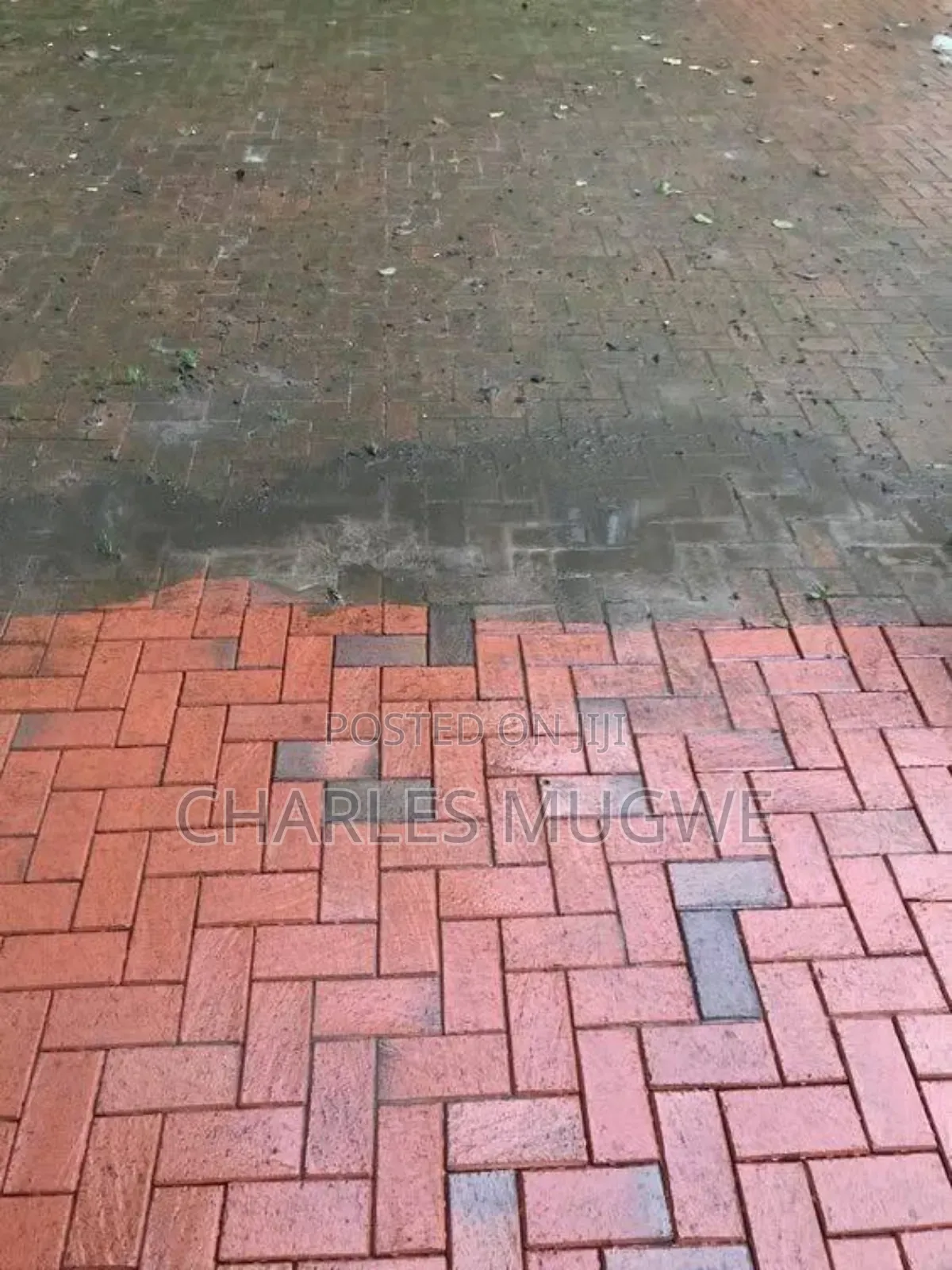 Outdoor Surface Cleaning