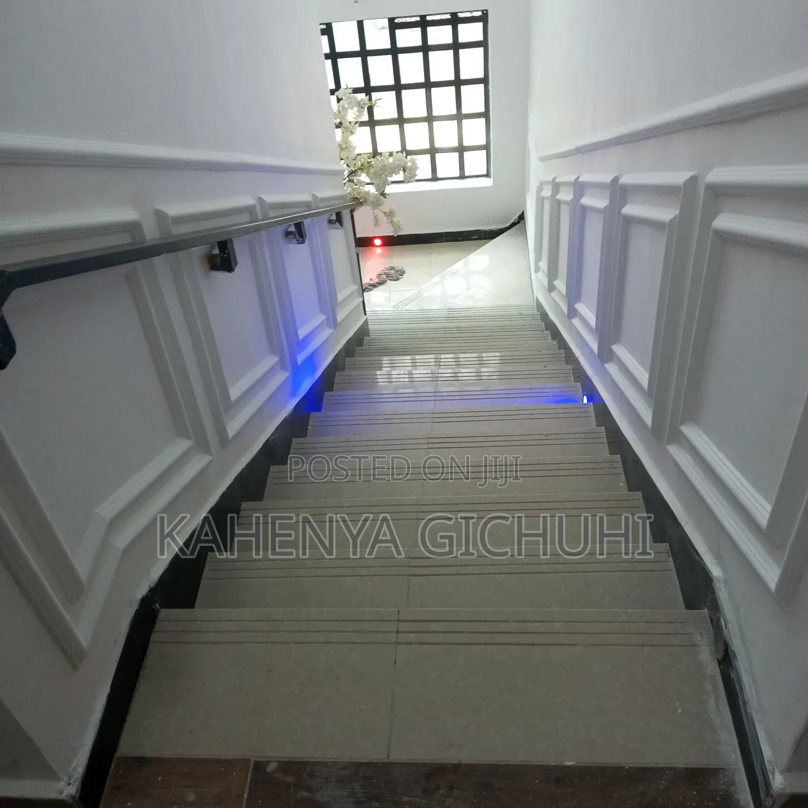 Outdoor Painter, Interior Decorator, Artist And Graphic Design.