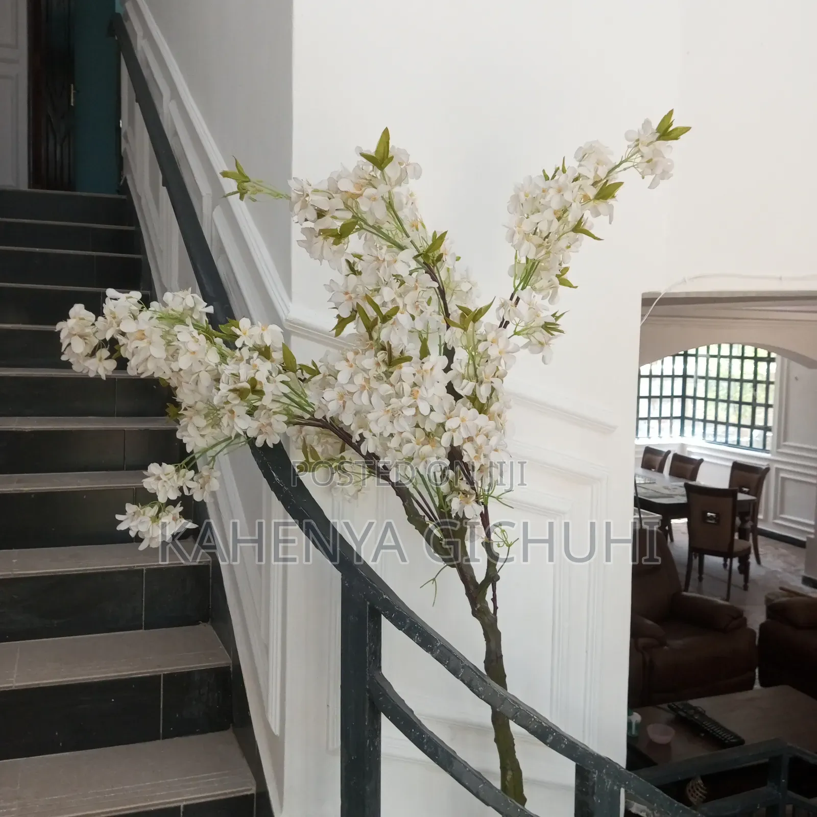 Outdoor Painter, Interior Decorator, Artist And Graphic Design.
