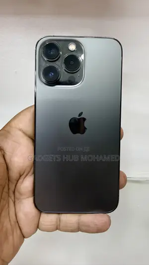 Apple iPhone 13 Pro 1 TB Gray