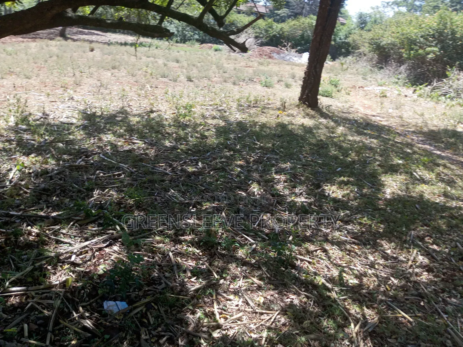 Land for Lease