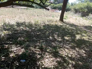 Land for Lease