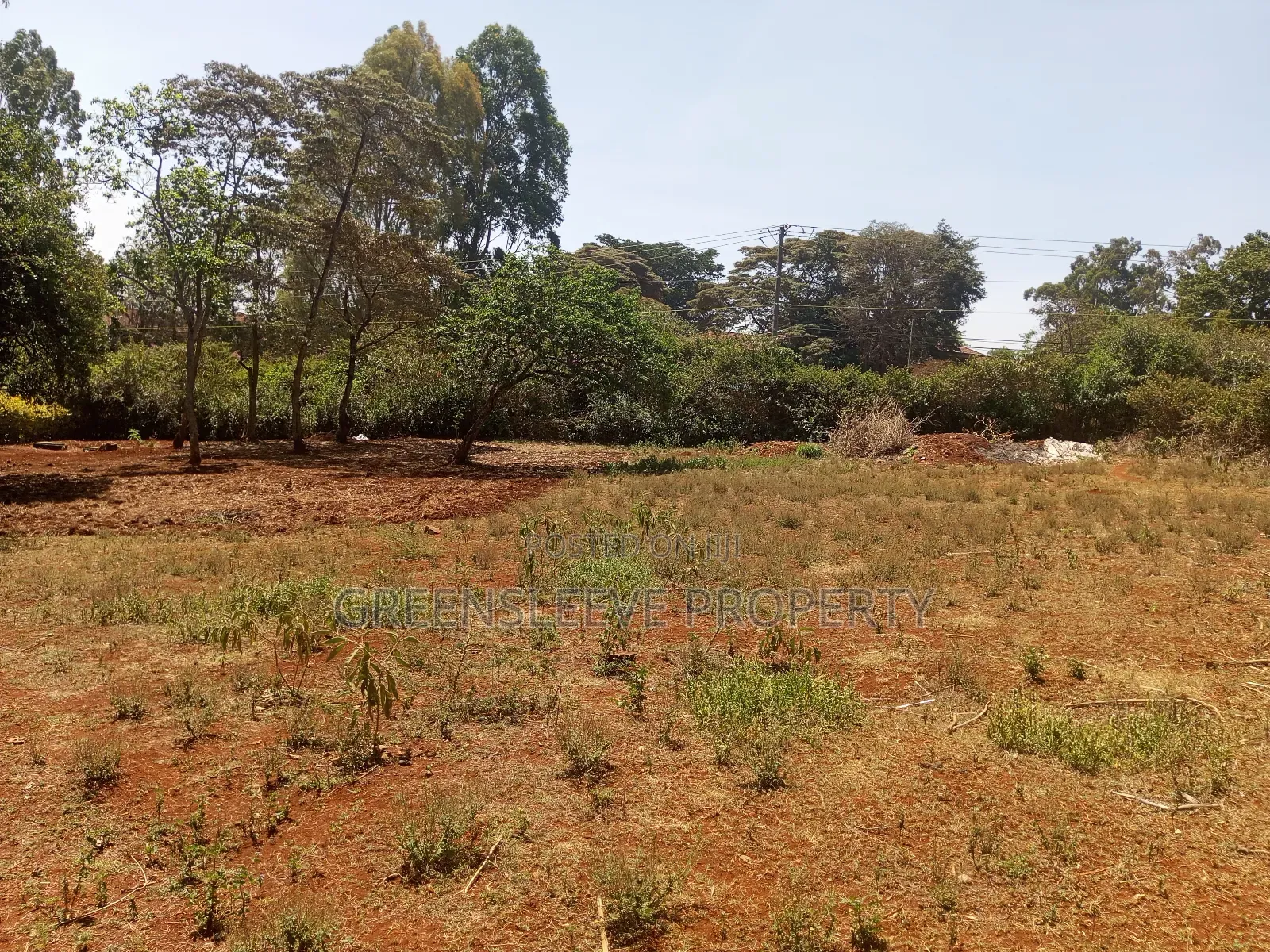 Land for Lease