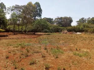 Land for Lease