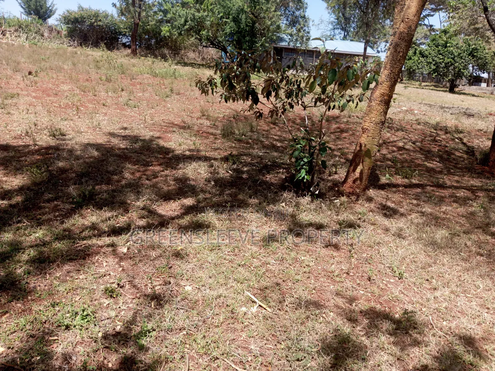 Land for Lease
