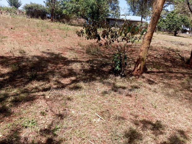 Land for Lease - thumbnail 6