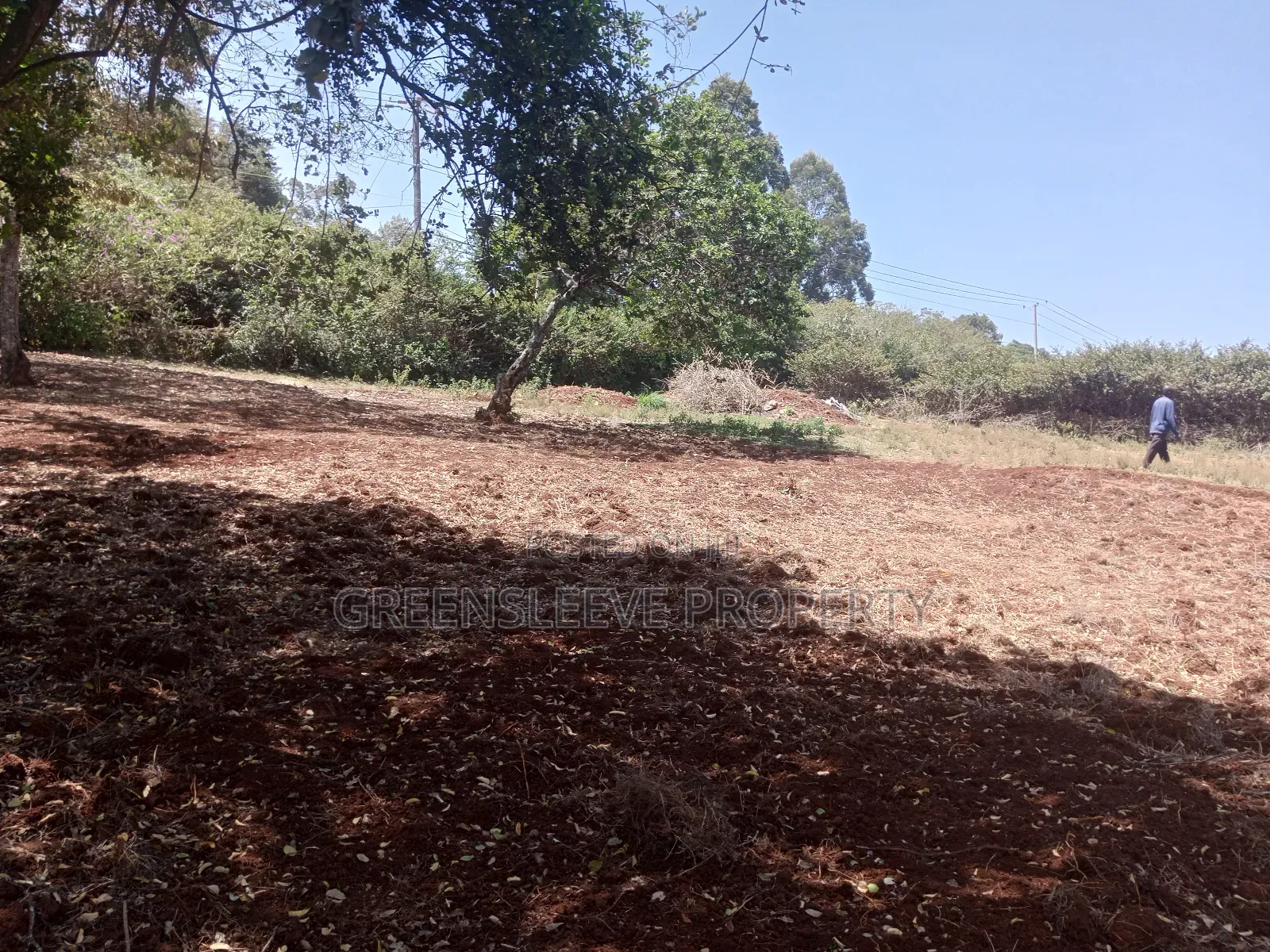 Land for Lease