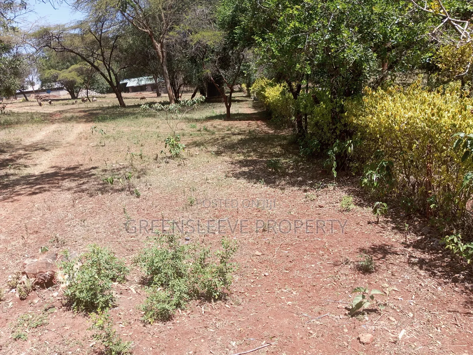 Land for Lease