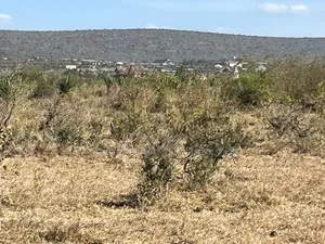 Mavoko -Kinanie Prime 5 Acres