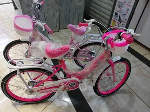 Lady Bike Size 20 Pink/Purple Colour