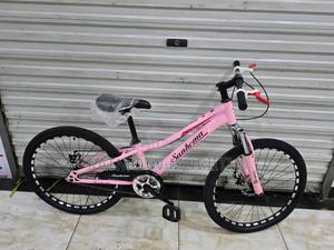 Pink Lady Bike Size 24 - main view