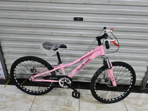 Pink Lady Bike Size 24