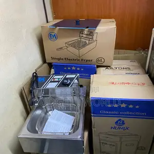 Owngreat 6 L Single Electric Deep Fryer Og-Df10