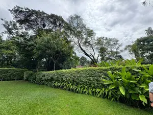 Land for Sale in Ridgeways