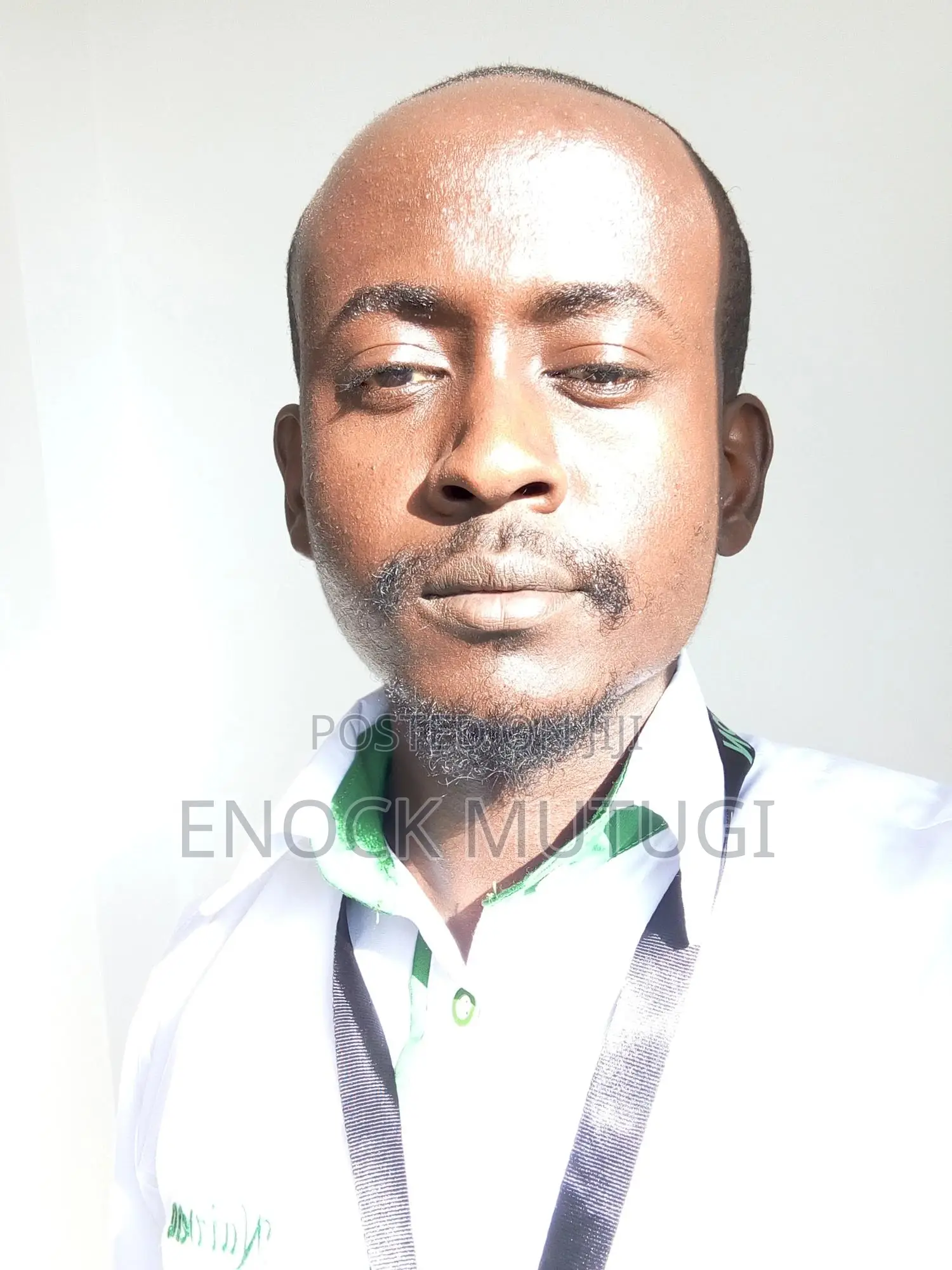 Real Estate Agent Job