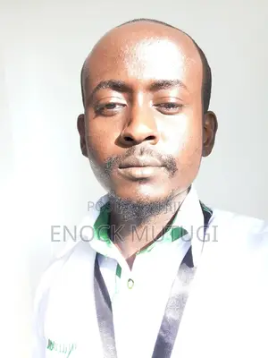 Real Estate Agent Job