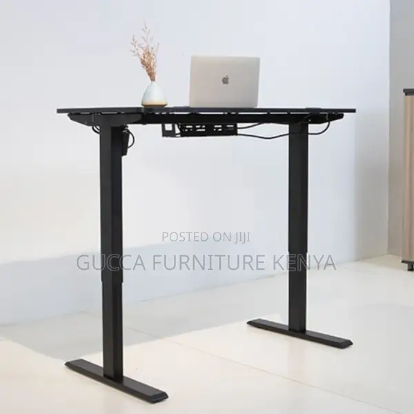 Imported 1200mm Electric Office Standing Desk