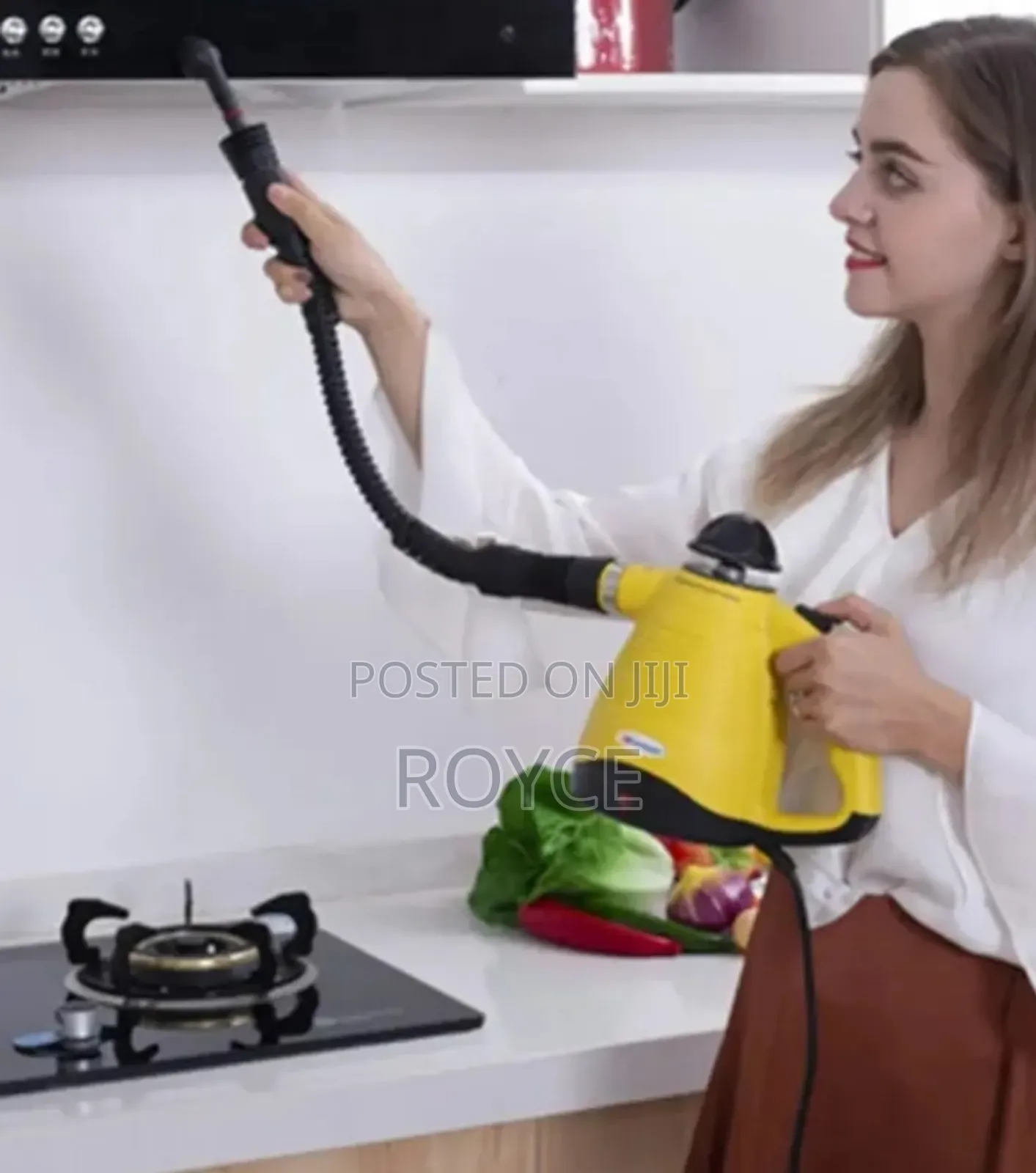 9 in 1 High Pressure Steam Cleaner