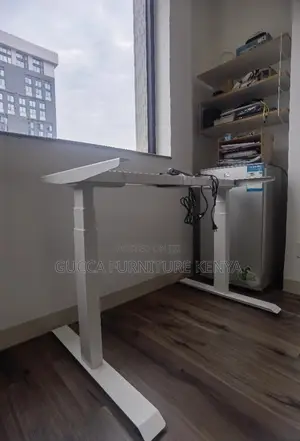 Imported 1200mm Electric Office Standing Desk