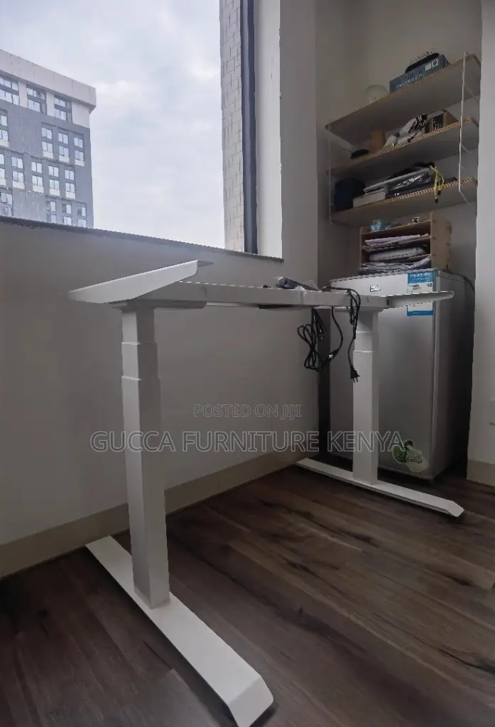 Imported 1200mm Electric Office Standing Desk