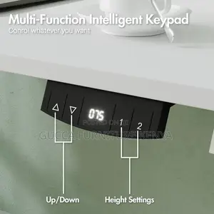 Imported 1200mm Electric Office Standing Desk