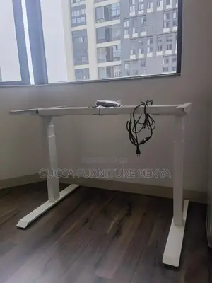 Imported 1200mm Electric Office Standing Desk