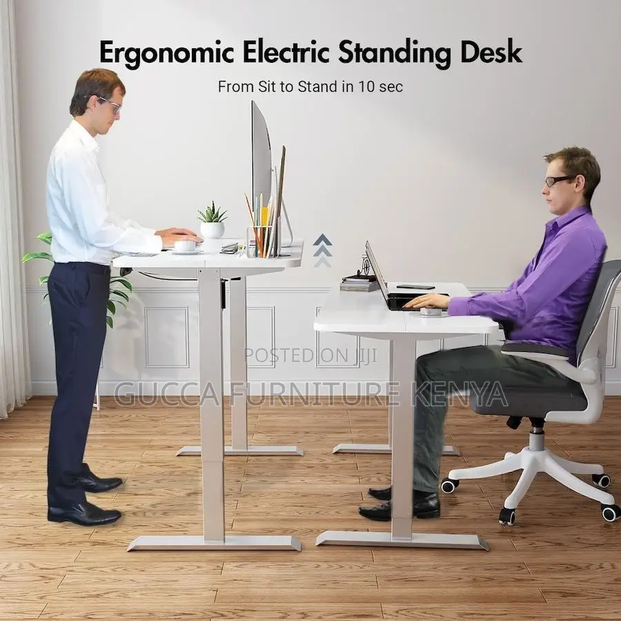 Imported 1200mm Electric Office Standing Desk