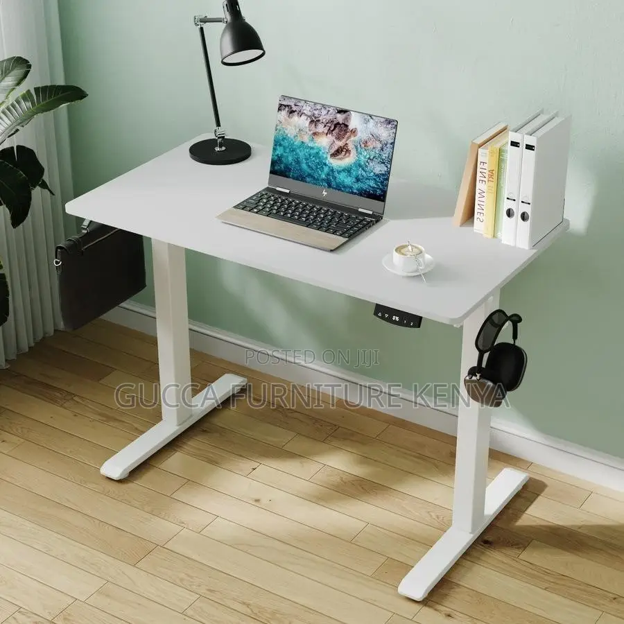 Imported 1200mm Electric Office Standing Desk