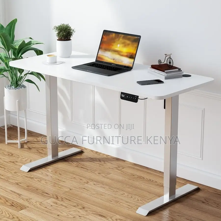 Imported 1200mm Electric Office Standing Desk