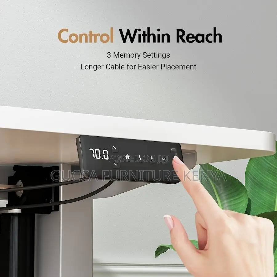 Imported 1200mm Electric Office Standing Desk