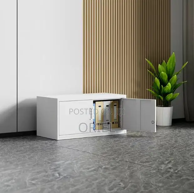 Office Cabinet