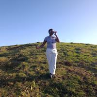 Acehomes Airbnbs logo