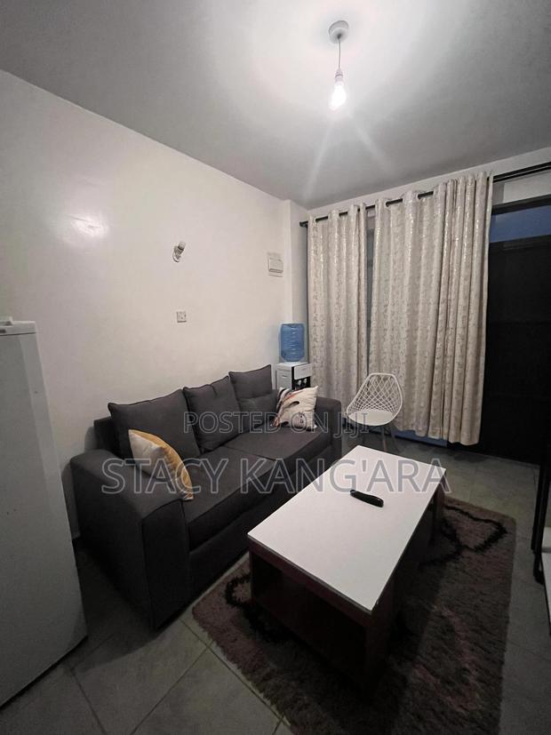 1 Bedroom Apartment, Tsavo Roysambu - thumbnail 3