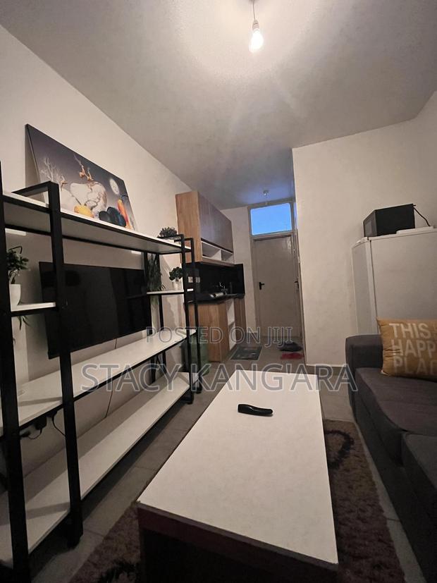 1 Bedroom Apartment, Tsavo Roysambu - thumbnail 5