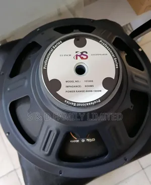 Rs Naked Speaker 15 Inches