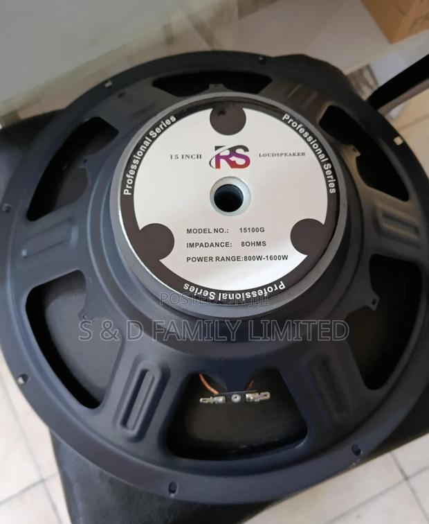 Rs Naked Speaker 15 Inches - main view