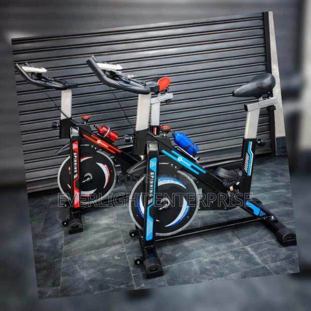 Euromax Spin Bike